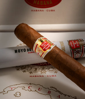Hoyo de Monterrey Coronations (PCC)
