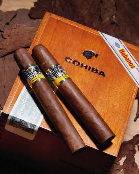 cohiba-cohiba-siglo-vi-2019-