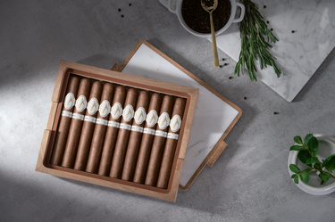 Box of cigars with white bands on a gray surface, surrounded by a bowl of coffee and a plant.