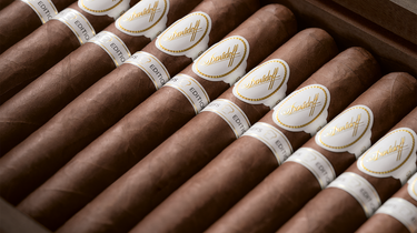 Close-up of Davidoff cigars with visible branding