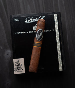 Davidoff Nicaragua Box-Pressed Robusto - nextCIGAR