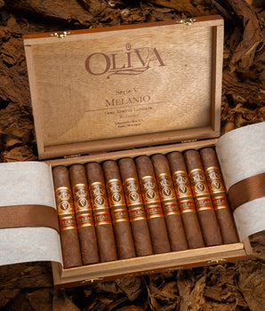 Oliva Serie V Melanio Robusto - nextCIGAR