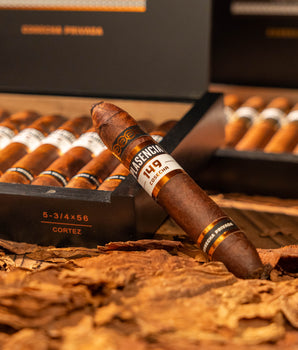 Plasencia Cosecha 149 Cortez - nextCIGAR