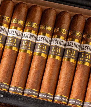 Plasencia Cosecha 151 La Música - nextCIGAR