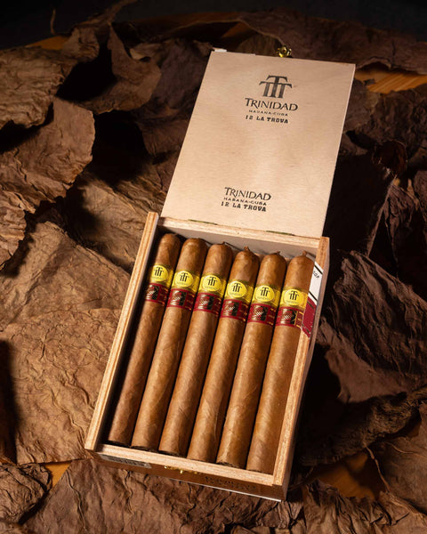 Trinidad La Trova LCDH - Exclusive Cuban Cigar | nextCIGAR