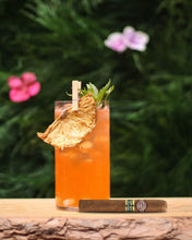 
                      
                        將圖片載入圖庫檢視器 Montecristo Open Junior
                      
                    