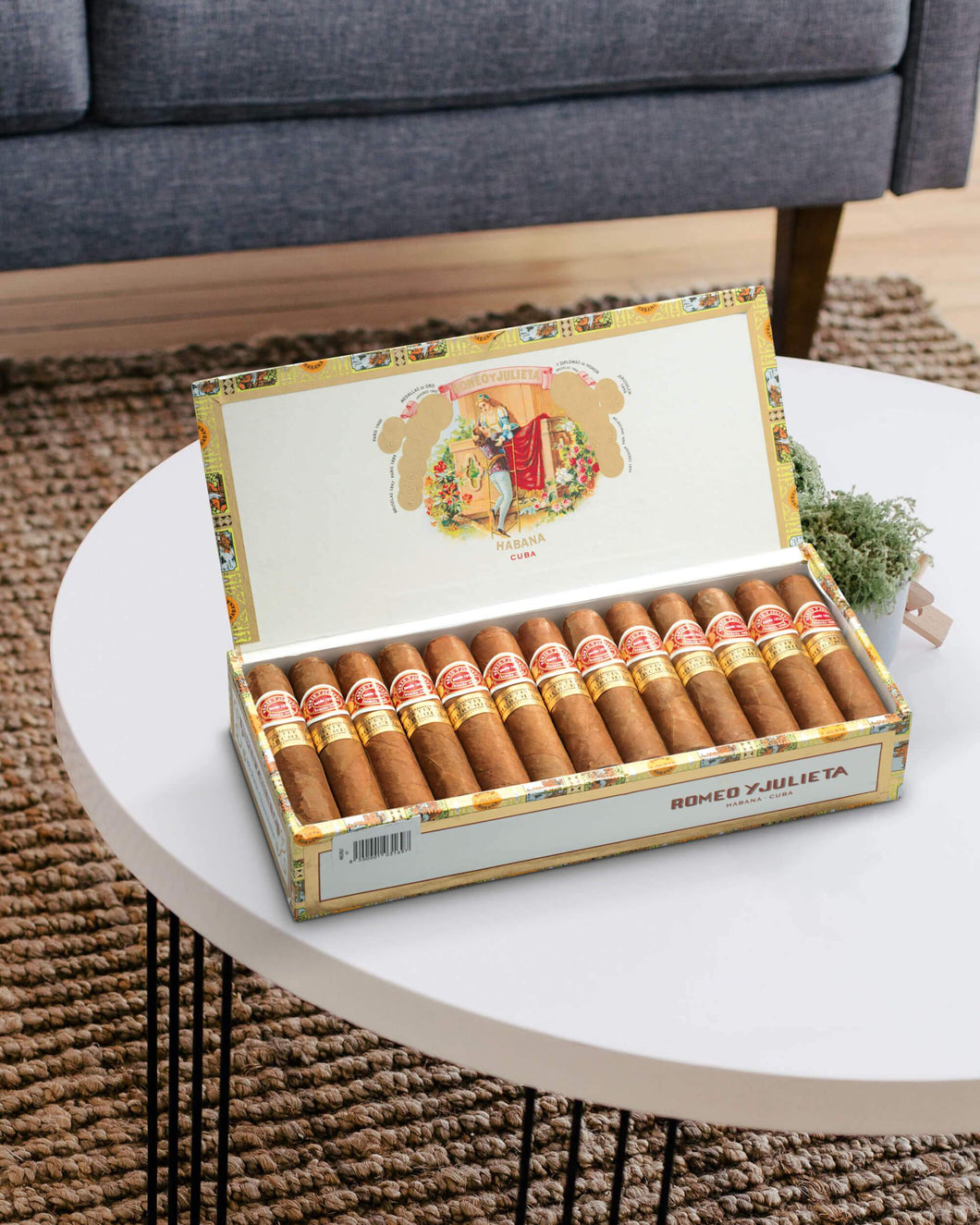 Romeo y Julieta Petit Churchills