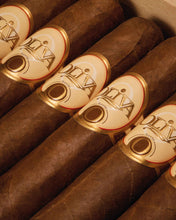 
                      
                        Load image into Gallery viewer, Oliva Serie O Robusto
                      
                    