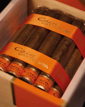 
                      
                        Load image into Gallery viewer, Oliva Cain Daytona 550 Robusto
                      
                    