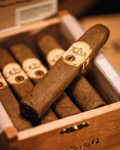 
                      
                        Load image into Gallery viewer, Oliva Serie G Robusto
                      
                    