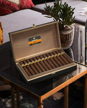
                      
                        Load image into Gallery viewer, Cohiba Genios Maduro 5
                      
                    