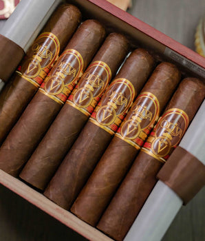 Oliva Serie V Double Robusto