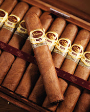 
                      
                        Load image into Gallery viewer, Padron 1926 No. 6 Natural
                      
                    