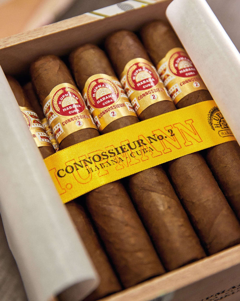 H. Upmann Connoisseur No. 2