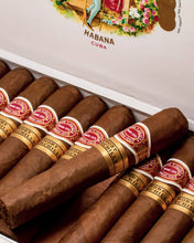
                      
                        Load image into Gallery viewer, Romeo y Julieta Short Churchills
                      
                    