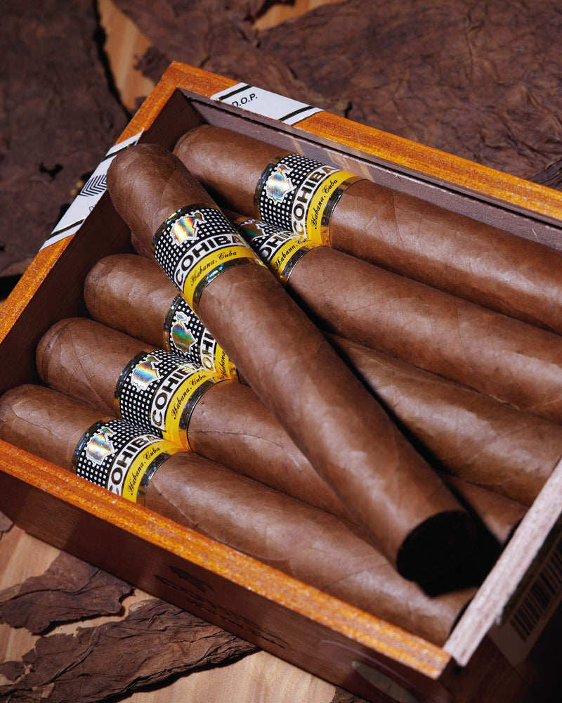 Cohiba Siglo VI