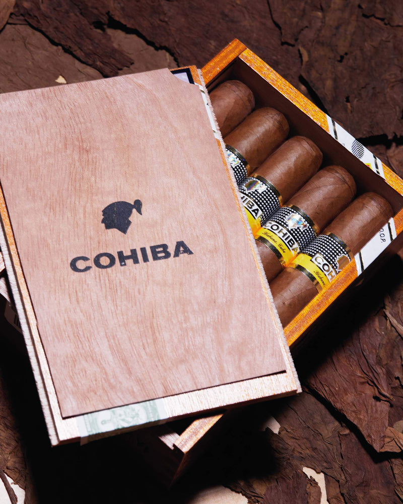 Cohiba Siglo VI