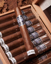 
                      
                        Load image into Gallery viewer, Alec Bradley Blind Faith Toro
                      
                    