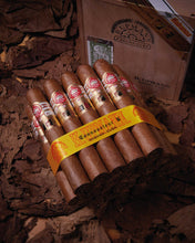 
                      
                        Load image into Gallery viewer, H. Upmann Connossieur B LCDH
                      
                    